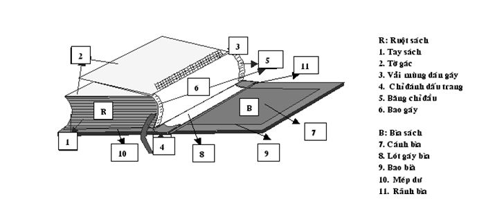 QUY TRÌNH SẢN XUẤT HÀNG LOẠT SÁCH – CHUYÊN NGHIỆP, TỐI ƯU VÀ HIỆU QUẢ 1 thiet ke in an catalogue 1